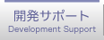 Dev Support